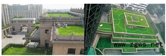 王仙民:立体绿化治理PM2.5