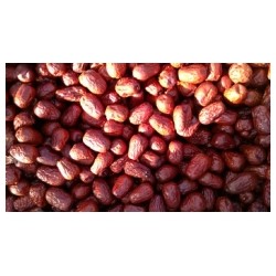 新疆红枣、新疆灰枣代加工销售新疆红枣、新疆灰枣代加工销售