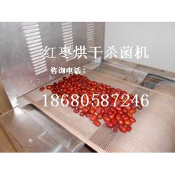 广州红枣微波干燥设备
