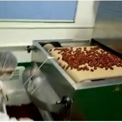 红枣大枣干燥杀菌机是如何工作的
