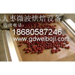 广州微波红枣烘焙烘干设备