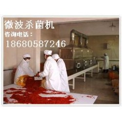 广州微波红枣杀菌设备