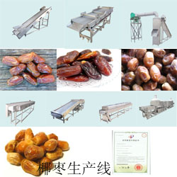 椰枣加工生产线